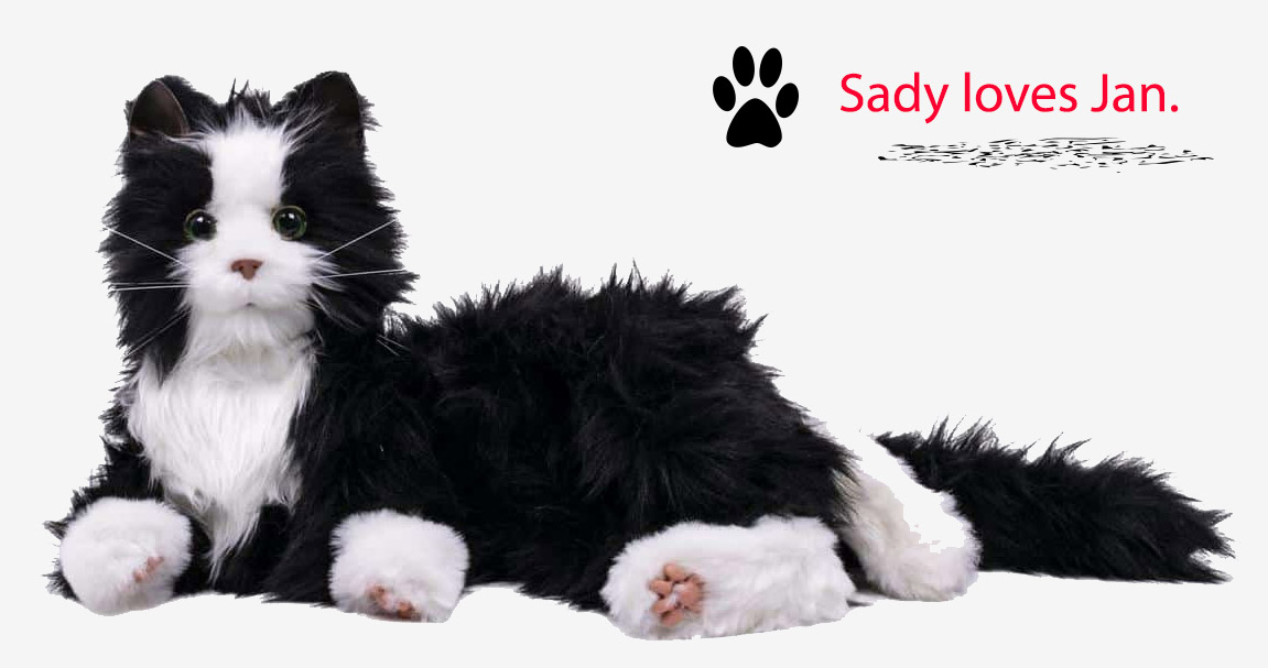 Sady Robot Cat